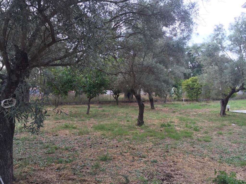 Sapfo Studios Lefkada Town Bagian luar foto